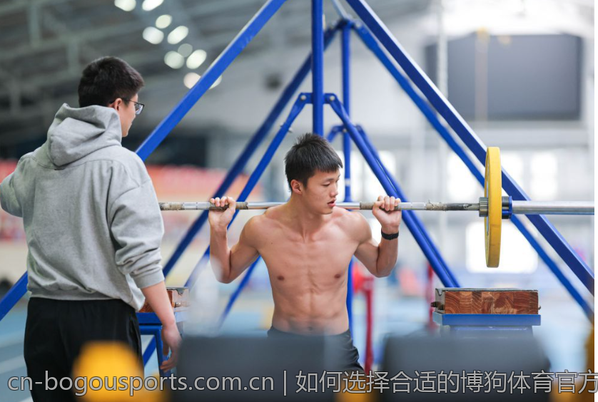 如何选择合适的博狗体育官方版本