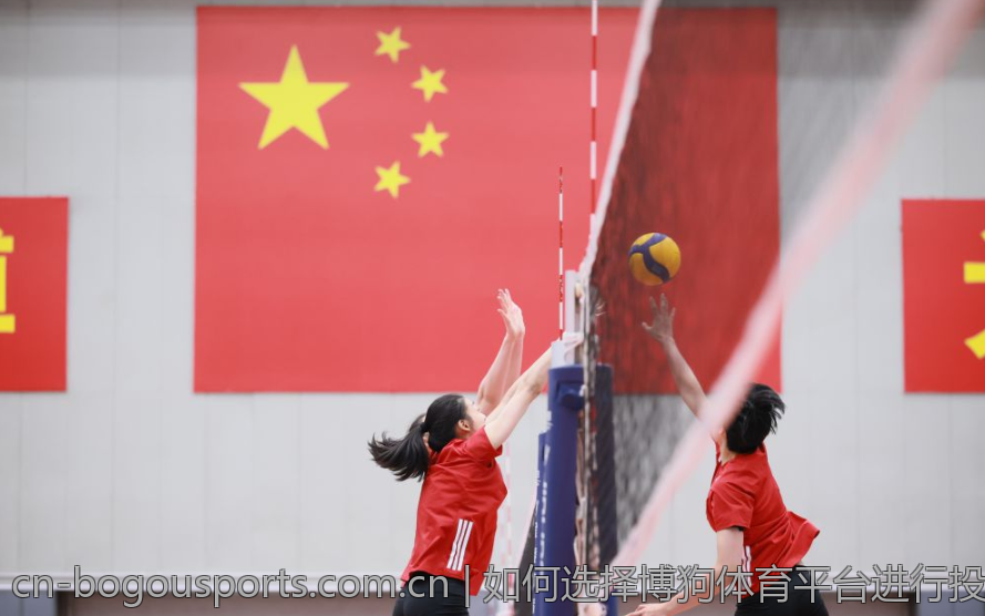如何选择博狗体育平台进行投注