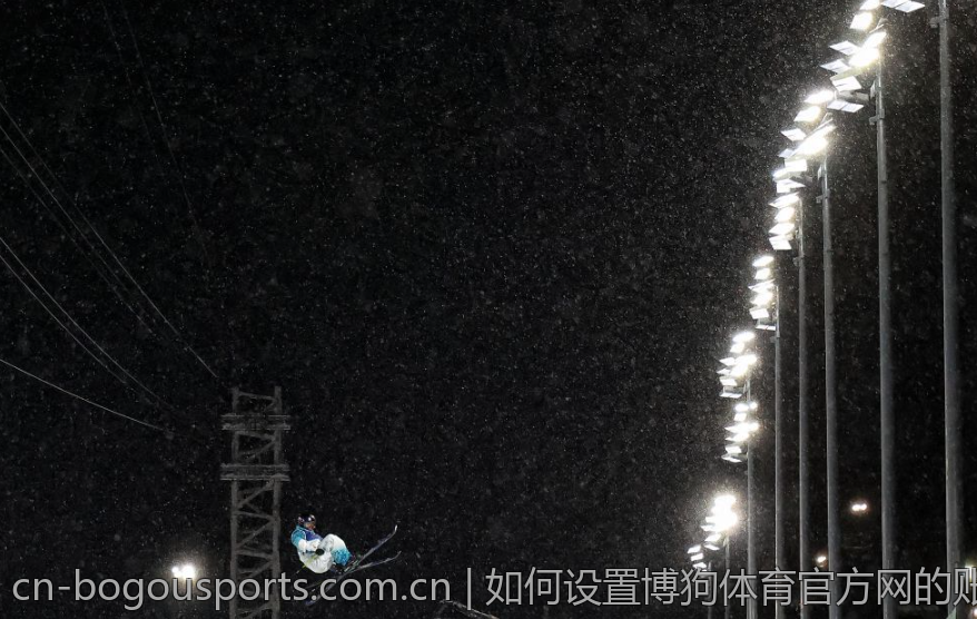 如何设置博狗体育官方网的账户安全与隐私