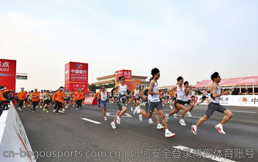 如何安全登录博狗体育账号